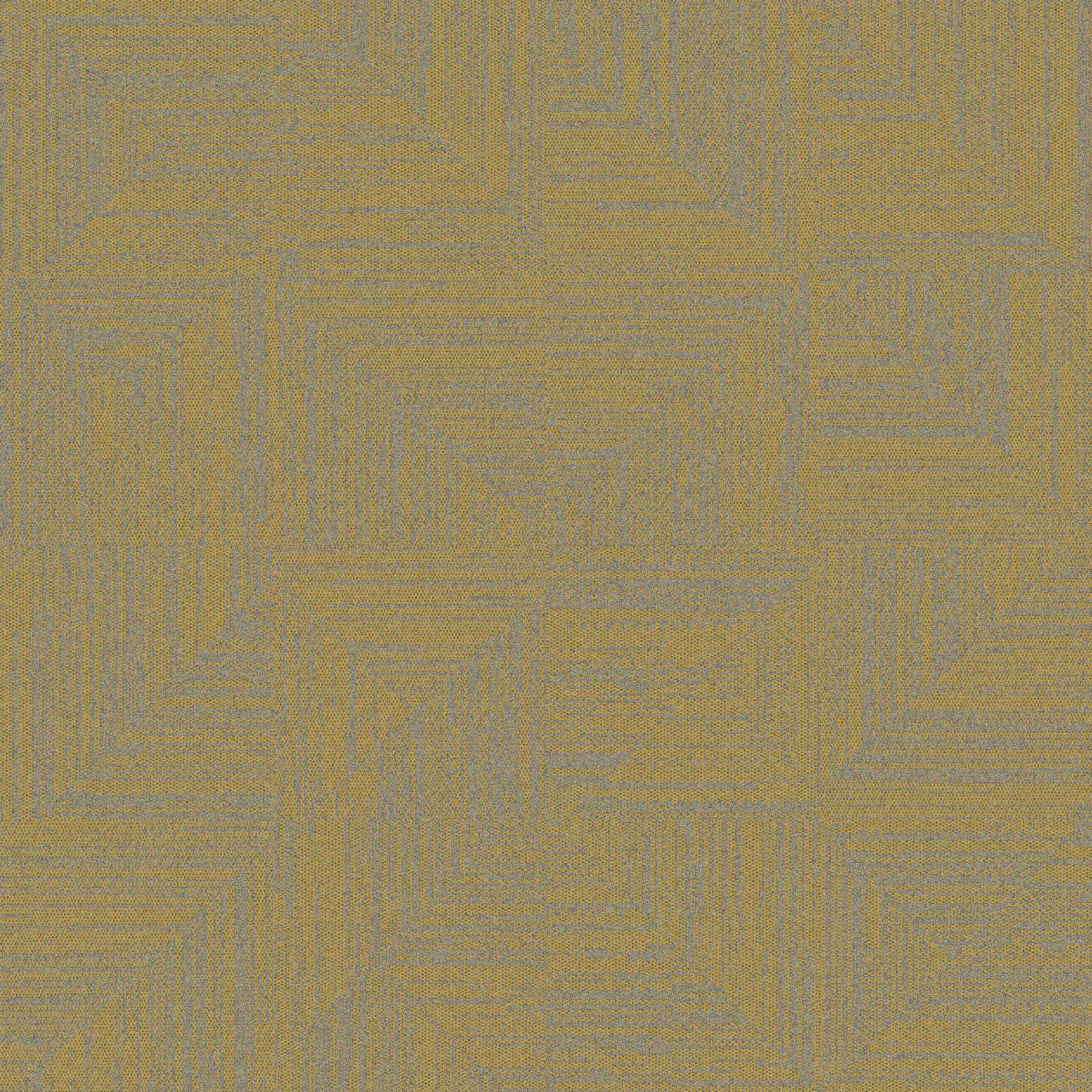 Non Directional